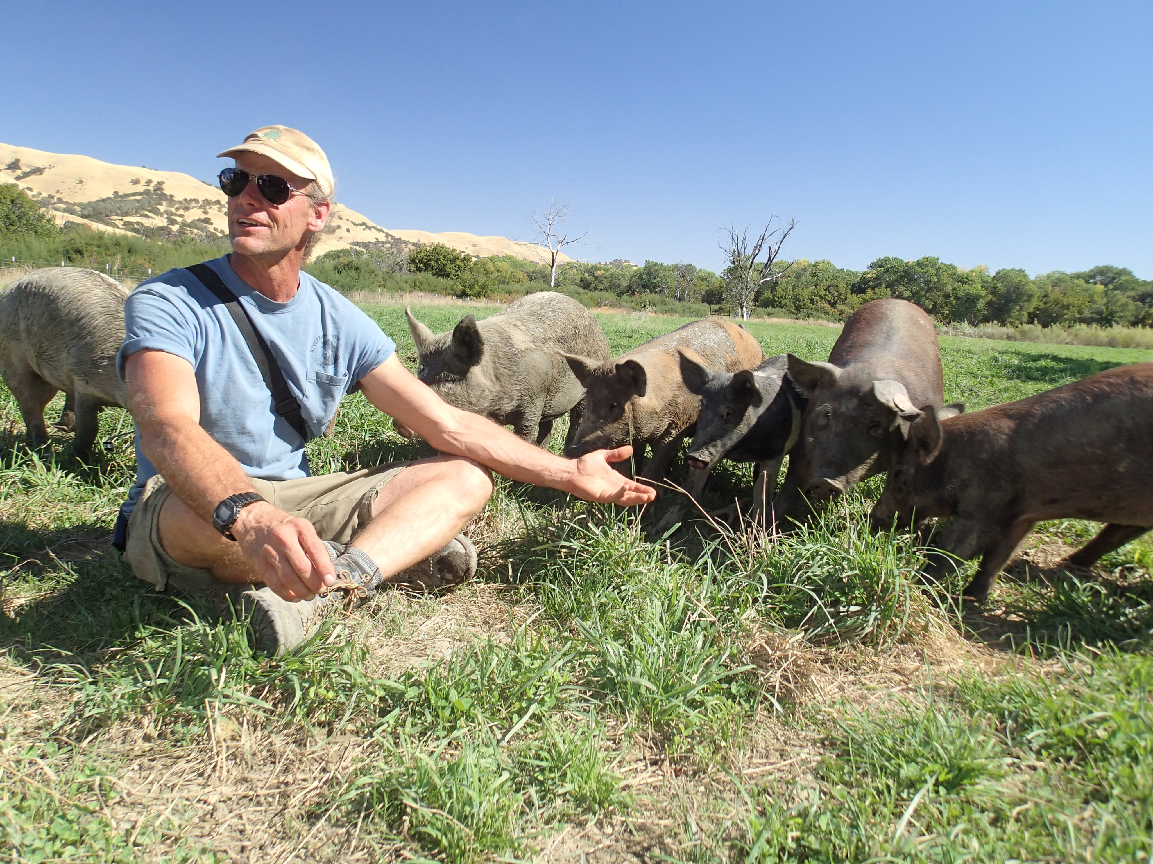 Tim with Hogs